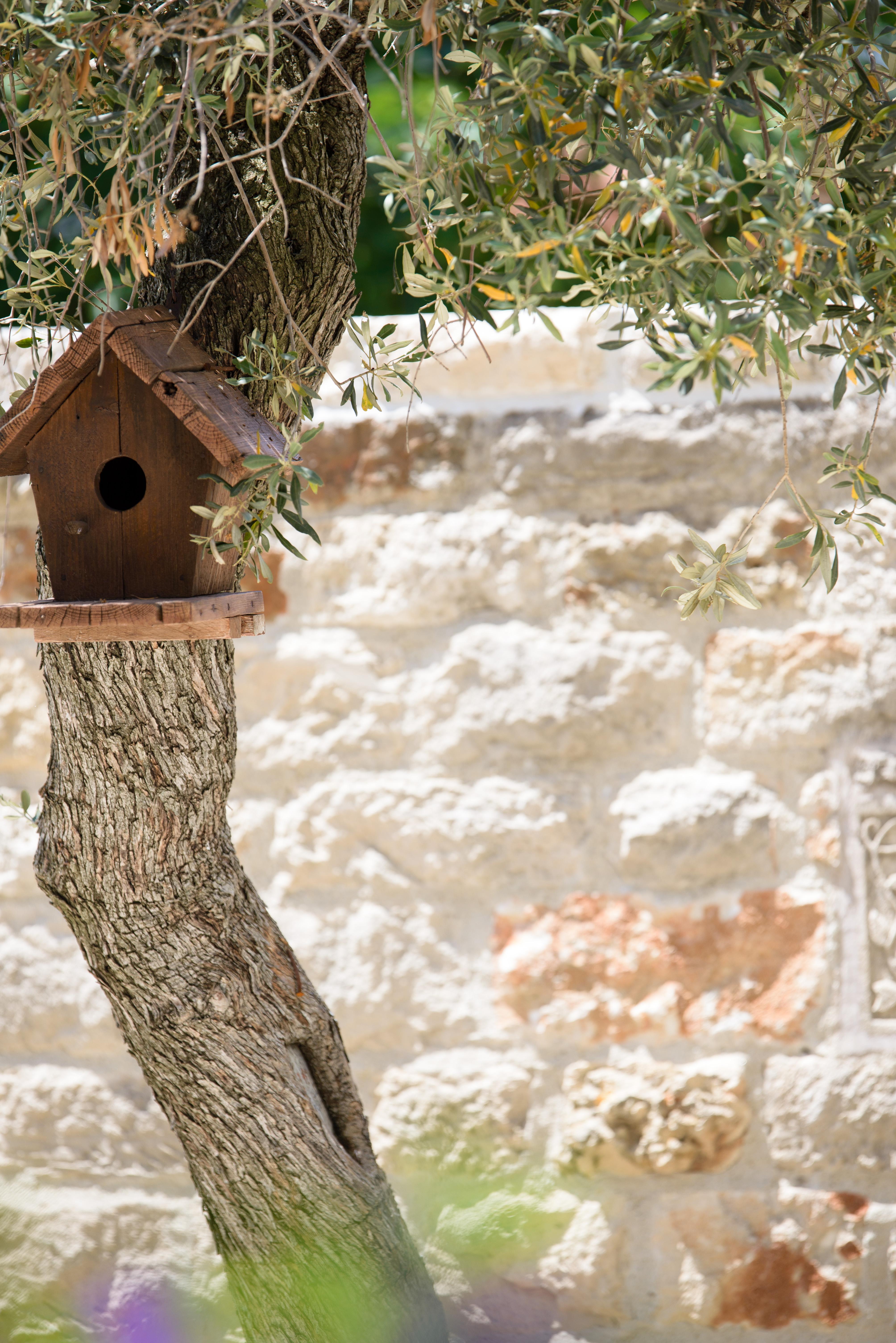 Achtis Hotel Afytos Bagian luar foto